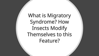 Migratory Syndrome in Migratory Insects.pptx