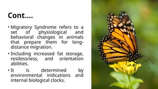 Migratory Syndrome in Migratory Insects.pptx
