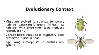 Migratory Syndrome in Migratory Insects.pptx