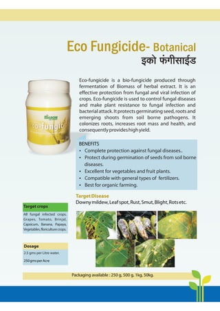 Eco Fungicide- Botanical
Eco-fungicide is a bio-fungicide produced through
fermentation of Biomass of herbal extract. It is an
effective protection from fungal and viral infection of
crops. Eco-fungicide is used to control fungal diseases
and make plant resistance to fungal infection and
bacterialattack.Itprotectsgerminatingseed,rootsand
emerging shoots from soil borne pathogens. It
colonizes roots, increases root mass and health, and
consequentlyprovideshighyield.
BH$mo §$JrgmB©S>
BENEFITS
?
Complete protection against fungal diseases..
?
Protect during germination of seeds from soil borne
diseases.
?
Excellent for vegetables and fruit plants.
?
Compatible with general types of fertilizers.
?
Best for organic farming.
Target crops
Dosage
2.5 gms per Litre water.
All fungal infected crops.
Grapes, Tomato, Brinjal,
Capsicum, Banana, Papaya,
Vegetables,floriculturecrops.
250gmsperAcre
TargetDisease
Downymildew,Leafspot,Rust,Smut,Blight,Rotsetc.
Packaging available : 250 g, 500 g, 1kg, 50kg.
 