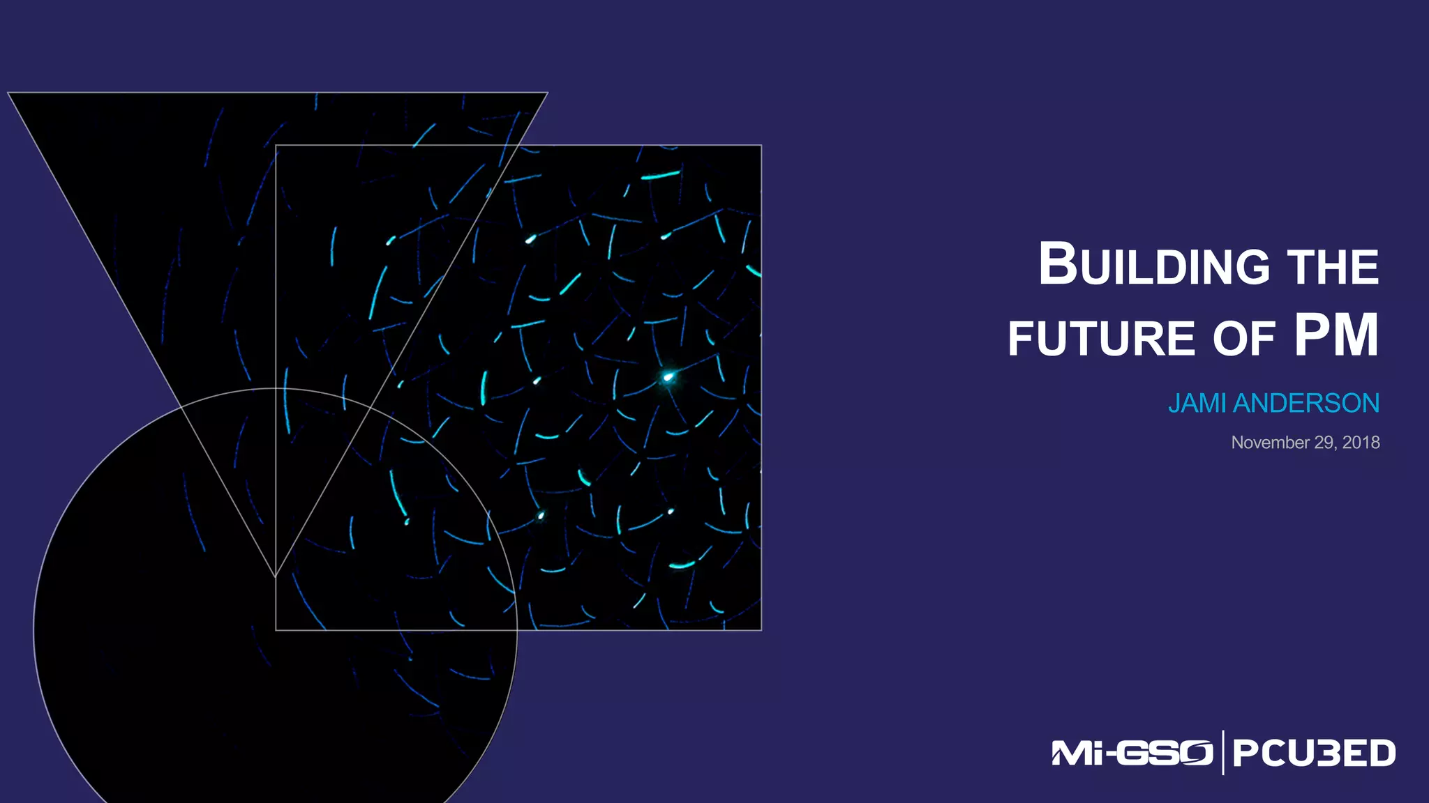 JAMI ANDERSON
November 29, 2018
BUILDING THE
FUTURE OF PM
 