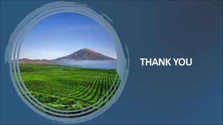 THANK YOU
Kerinci Mountain 3805 mdpl
 