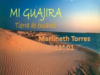 Marlineth Torres 11° 01 