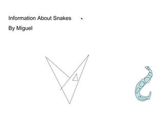 ` Information About Snakes By Miguel 
