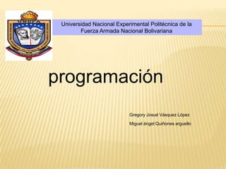 programación Gregory Josué Vásquez López Miguel ángel Quiñones arguello 