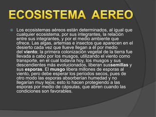    Los ecosistemas aéreos están determinados, al igual que
    cualquier ecosistema, por sus integrantes, la relación
    entre sus integrantes, y por el medio ambiente que
    ofrece. Las algas, artemias e insectos que aparecen en el
    desierto cada vez que llueve llegan a él por medio
    del viento; la primera colonización vegetal de la tierra fue
    llevada a cabo por los musgos, utilizando el viento como
    transporte, en el cual todavía hoy, los musgos y sus
    descendientes más evolucionados, liberan sussemillas y
    sus esporas. El musgo libera millones de esporas al
    viento, pero debe esperar los períodos secos, pues de
    otro modo las esporas absorberían humedad y no
    llegarían muy lejos; esto lo hacen protegiendo a las
    esporas por medio de cápsulas, que abren cuando las
    condiciones son favorables.
 