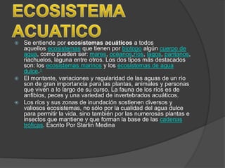  Se entiende por ecosistemas acuáticos a todos
  aquellos ecosistemas que tienen por biotopo algún cuerpo de
  agua, como pueden ser: mares, océanos,ríos, lagos, pantanos,
  riachuelos, laguna entre otros. Los dos tipos más destacados
  son: los ecosistemas marinos y los ecosistemas de agua
  dulce.1
 El montante, variaciones y regularidad de las aguas de un río
  son de gran importancia para las plantas, animales y personas
  que viven a lo largo de su curso. La fauna de los ríos es de
  anfibios, peces y una variedad de invertebrados acuáticos.
 Los ríos y sus zonas de inundación sostienen diversos y
  valiosos ecosistemas, no sólo por la cualidad del agua dulce
  para permitir la vida, sino también por las numerosas plantas e
  insectos que mantiene y que forman la base de las cadenas
  tróficas. Escrito Por Starlin Medina
 