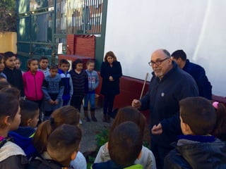 Miguel, el árbol pacífico