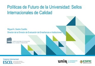 Políticas de Futuro de la Universidad: Sellos
Internacionales de Calidad
Miguel A. Sastre Castillo
Director de la División de Evaluación de Enseñanzas e Instituciones
 