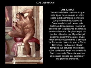 LOS DESNUDOS LOS IGNUDI Los especialistas consideran que esta figura desnuda que se ubica sobre la Sibila Pérsica, dentro del compartimento dedicado a la Creación del mundo, es el más dinámico del conjunto al reforzar el escorzo con las posturas disparadas de sus miembros. Se piensa que las fuentes utilizadas por Miguel Ángel debemos encontrarlas en el grupo helenístico procedente de la escuela de Rodas del Laoconte y en el Torso Belvedere. No hay que olvidar tampoco sus estudios anatómicos sobre cadáveres en el monasterio de San Lorenzo de Florencia, aunque ello estaba penado por la iglesia y era práctica prohibida. 
