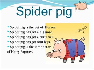 Spider pig Spider pig is the pet of  Homer. Spider pig has got a big nose. Spider pig has got a curly tail. Spider pig has got four legs. Spider pig is the same actor  of Harry Popoter. 