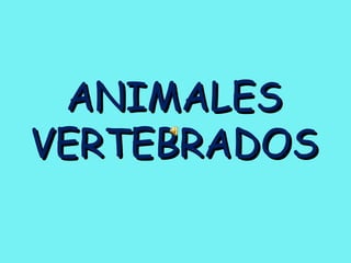 ANIMALESANIMALES
VERTEBRADOSVERTEBRADOS
 