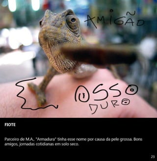 As Aventuras de Miguel Angelo