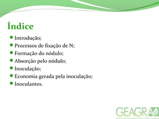 Índice
Introdução;
Processos de fixação de N;
Formação do nódulo;
Absorção pelo nódulo;
Inoculação;
Economia gerada pela inoculação;
Inoculantes.
 