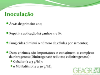Inoculação
Áreas de primeiro ano;
Repetir a aplicação há ganhos 4,5 %;
Fungicidas diminui o número de células por sementes;
Duas enzimas são importantes e constituem o complexo
da nitrogenase(Dinitrogenase redutase e dinitrogenase):
Cobalto (2 a 3 g/há);
e Molibdênio(12 a 30 g/há).
 