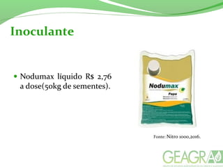 Inoculante
Fonte: Nitro 1000,2016.
 