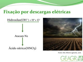 Fixação por descargas elétricas
Hidroxilas(OH¯) + H⁺+ O¯
Atacam N2
Ácido nítrico(HNO3)
Fonte: Site Afnews agrícola, 2016.
 