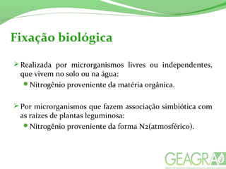 Fixação biológica
Realizada por microrganismos livres ou independentes,
que vivem no solo ou na água:
Nitrogênio proveniente da matéria orgânica.
Por microrganismos que fazem associação simbiótica com
as raízes de plantas leguminosa:
Nitrogênio proveniente da forma N2(atmosférico).
 