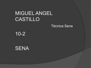 MIGUEL ANGEL
CASTILLO
10-2
SENA
Técnica Sena
 