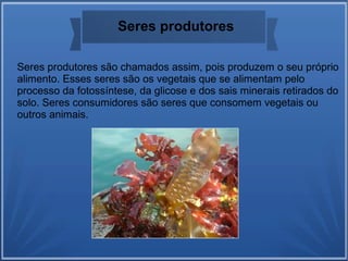 Seres produtores são chamados assim, pois produzem o seu próprio
alimento. Esses seres são os vegetais que se alimentam pelo
processo da fotossíntese, da glicose e dos sais minerais retirados do
solo. Seres consumidores são seres que consomem vegetais ou
outros animais.
Seres produtores
 
