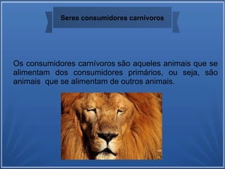 Seres consumidores carnívoros
Os consumidores carnívoros são aqueles animais que se
alimentam dos consumidores primários, ou seja, são
animais que se alimentam de outros animais.
 