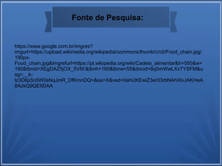 https://www.google.com.br/imgres?
imgurl=https://upload.wikimedia.org/wikipedia/commons/thumb/c/c0/Food_chain.jpg/
190px-
Food_chain.jpg&imgrefurl=https://pt.wikipedia.org/wiki/Cadeia_alimentar&h=550&w=
190&tbnid=XEgDAZ5jOX_5VM:&tbnh=160&tbnw=55&docid=8q0mWwLXxTYSFM&u
sg=__k-
lz3D6p5n5W0sNqJmR_DfKmnDQ=&sa=X&ved=0ahUKEwiZ3er03rbNAhXIvJAKHeA
8AzkQ9QEIIDAA
Fonte de Pesquisa:
 