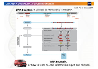Erlich Y et al, Science 2017
DNA Fountain à Densidad de información: 215 PB/g DNA
DNA *IS* A DIGITAL DATA STORING SYSTEM
DNA Fountain,
or how to store ALL the information in just one minivan
 