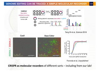 Foronda et al, Unpublished
Tang W et al, Science 2018
GENOME EDITING CAN BE TRACED: A SIMPLE MOLECULAR RECORDER
CRISPR as molecular recorders of different sorts – including from our lab!
 