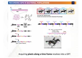 Acquiring pixets along a time frame resolves into a GIF!
 