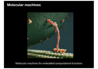 Molecular machines
Molecular machines for embedded computational functions
 