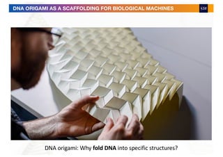 DNA ORIGAMI AS A SCAFFOLDING FOR BIOLOGICAL MACHINES
DNA origami: Why fold DNA into specific structures?
 