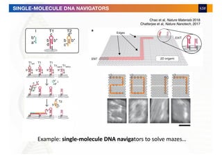 Chao et al, Nature Materials 2018
Chatterjee et al, Nature Nanotech, 2017
SINGLE-MOLECULE DNA NAVIGATORS
Example: single-molecule DNA navigators to solve mazes…
 