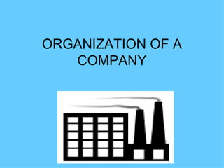 ORGANIZATION OF A COMPANY 