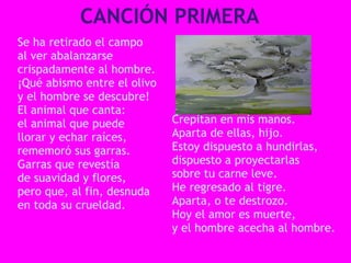 CANCIÓN PRIMERA
Se ha retirado el campo
al ver abalanzarse
crispadamente al hombre.
¡Qué abismo entre el olivo
y el hombre se descubre!
El animal que canta:
el animal que puede          Crepitan en mis manos.
llorar y echar raíces,       Aparta de ellas, hijo.
rememoró sus garras.         Estoy dispuesto a hundirlas,
Garras que revestía          dispuesto a proyectarlas
de suavidad y flores,        sobre tu carne leve.
pero que, al fin, desnuda    He regresado al tigre.
en toda su crueldad.         Aparta, o te destrozo.
                             Hoy el amor es muerte,
                             y el hombre acecha al hombre.  
 