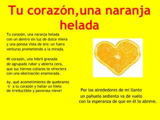 Tu corazón,una naranja
  
  
             helada
     Tu corazón, una naranja helada
     con un dentro sin luz de dulce miera
     y una porosa vista de oro: un fuera
     venturas prometiendo a la mirada.

   Mi corazón, una febril granada
   de agrupado rubor y abierta cera,
   que sus tiernos collares te ofreciera
   con una obstinación enamorada.
 
   Ay, qué acometimiento de quebranto
    ir  a tu corazón y hallar un hielo
   de irreductible y pavorosa nieve!            Por los alrededores de mi llanto
                                                un pañuelo sediento va de vuelo
                                               con la esperanza de que en él lo abreve.
 