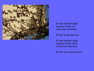 El mar también elige
puertos donde reír
como los marineros.
El mar de los que son.
El mar también elige
puertos donde morir.
Como los marineros.
El mar de los que fueron.
 