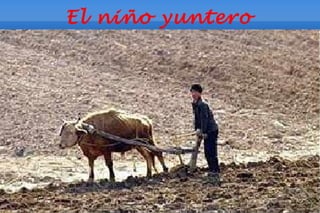 El niño yuntero
 