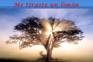 Me tiraste un limón
 