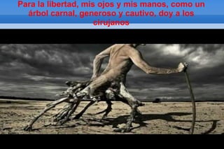 Para la libertad, mis ojos y mis manos, como un
   árbol carnal, generoso y cautivo, doy a los
                      cirujanos

file:///E:/MIGUEL%20HERNANDEZ/MIGUEL%20HERNANDEZ/libertad1.jpg
 