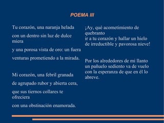 POEMA III
Tu corazón, una naranja helada
con un dentro sin luz de dulce
miera
y una porosa vista de oro: un fuera
venturas prometiendo a la mirada.
Mi corazón, una febril granada
de agrupado rubor y abierta cera,
que sus tiernos collares te
ofreciera
con una obstinación enamorada.
¡Ay, qué acometimiento de
quebranto
ir a tu corazón y hallar un hielo
de irreductible y pavorosa nieve!
Por los alrededores de mi llanto
un pañuelo sediento va de vuelo
con la esperanza de que en él lo
abreve.
 