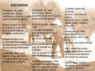 ACEITUNEROSAndaluces de Jaén, aceituneros altivos, decidme en el alma: ¿quién, quién levantó los olivos?No los levantó la nada, ni el dinero, ni el señor, sino la tierra callada, el trabajo y el sudor. Unidos al agua pura y a los planetas unidos, los tres dieron la hermosura de los troncos retorcidos. Levántate, olivo cano, dijeron al pie del viento. Y el olivo alzó una mano poderosa de cimiento. ¡Cuántos siglos de aceituna, los pies y las manos presos, sol a sol y luna a luna, pesan sobre vuestros huesos!Andaluces de Jaén, aceituneros altivos, pregunta mi alma: ¿de quién, de quién son estos olivos? Jaén, levántate brava sobre tus piedras lunares, no vayas a ser esclava con todos tus olivares. Dentro de la claridad del aceite y sus aromas, indican tu libertad la libertad de tus lomas.Andaluces de Jaén, aceituneros altivos, decidme en el alma: ¿quién amamantó los olivos? Vuestra sangre, vuestra vida, no la del explotador que se enriqueció en la herida generosa del sudor. No la del terrateniente que os sepultó en la pobreza, que os pisoteó la frente, que os redujo la cabeza. Árboles que vuestro afán consagró al centro del día eran principio de un pan que sólo el otro comía. 