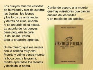Los bueyes mueren vestidosde humildad y olor de cuadra:las águilas, los leonesy los toros de arrogancia,y detrás de ellos, el cieloni se enturbia ni se acaba.La agonía de los bueyestiene pequeña la cara,la del animal varóntoda la creación agranda.Si me muero, que me mueracon la cabeza muy alta.Muerto y veinte veces muerto,la boca contra la grama,tendré apretados los dientesy decidida la barba.Cantando espero a la muerte,que hay ruiseñores que cantanencima de los fusilesy en medio de las batallas.