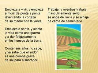 Empieza a vivir, y empieza a morir de punta a punta levantando la corteza de su madre con la yunta. Empieza a sentir, y siente la vida como una guerra y a dar fatigosamente en los huesos de la tierra. Contar sus años no sabe, y ya sabe que el sudor es una corona grave de sal para el labrador. Trabaja, y mientras trabaja masculinamente serio, se unge de lluvia y se alhaja de carne de cementerio. 