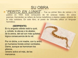 SU OBRA“PERITO EN LUNAS”. Fue su primer libro de versos y lo publicó en 1934. Está compuesto de 42 octavas reales. En estos poemas, Hernández se refiere de forma metafórica a objetos reales, propios de la vida cotidiana. En este libro, el poeta de Orihuela utiliza un lenguaje hermético.             (SERPIENTE)En tu angosto silbido está tu quid,y, cohete, te elevas o te abates;de la arena, del sol con más quilates,lógica consecuencia de la vid.Por mi dicha, a mi madre, con tu ardid,en humanos hiciste entrar combates.Dame, aunque se horroricen los gitanos,veneno activo el más, de los manzanos.