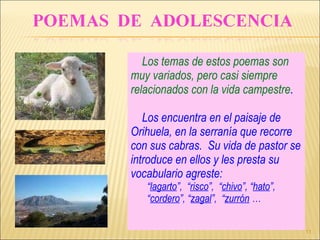 Los temas de estos poemas son muy variados, pero casi siempre relacionados con la vida campestre .  Los encuentra en el paisaje de Orihuela, en la serranía que recorre con sus cabras.  Su vida de pastor se introduce en ellos y les presta su vocabulario agreste:  “ lagarto ”,  “ risco ”,  “ chivo ”, “ hato ”,  “ cordero ”, “ zagal ”,  “ zurrón  …  