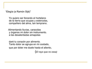 “ Elegía (a Ramón Sijé)” Yo quiero ser llorando el hortelano  de la tierra que ocupas y estercolas,  compañero del alma, tan temprano.  Alimentando lluvias, caracolas  y órganos mi dolor sin instrumento.  a las desalentadas amapolas  daré tu corazón por alimento.  Tanto dolor se agrupa en mi costado,  que por doler me duele hasta el aliento . ( El rayo que no cesa) 