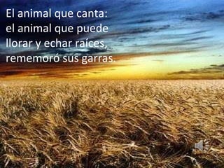 El animal que canta: el animal que puede llorar y echar raíces, rememoró sus garras.
