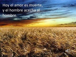 Hoy el amor es muerte,  y el hombre acecha al hombre. 