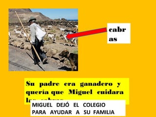 cabr
as
Su padre era ganadero y
quería que Miguel cuidara
las cabras
MIGUEL DEJÓ EL COLEGIO
PARA AYUDAR A SU FAMILIA
 