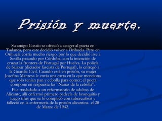 Prisión y muerte.Prisión y muerte.
Su amigo Cossío se ofreció a acoger al poeta enSu amigo Cossío se ofreció a acoger al poeta en
Tudanca, pero este decidió volver a Orihuela. Pero enTudanca, pero este decidió volver a Orihuela. Pero en
Orihuela corría mucho riesgo, por lo que decidió irse aOrihuela corría mucho riesgo, por lo que decidió irse a
Sevilla pasando por Córdoba, con la intención deSevilla pasando por Córdoba, con la intención de
cruzar la frontera de Portugal por Huelva. La policíacruzar la frontera de Portugal por Huelva. La policía
de Salazar (dictador fascista de Portugal), lo entregó ade Salazar (dictador fascista de Portugal), lo entregó a
la Guardia Civil. Cuando está en prisión, su mujerla Guardia Civil. Cuando está en prisión, su mujer
Josefina Manresa le envía una carta en la que mencionaJosefina Manresa le envía una carta en la que menciona
que sólo tenían pan y cebolla para comer; el poetaque sólo tenían pan y cebolla para comer; el poeta
compone en respuesta las ”Nanas de la cebolla”.compone en respuesta las ”Nanas de la cebolla”.
Fue trasladado a un reformatorio de adultos deFue trasladado a un reformatorio de adultos de
Alicante, allí enfermó primero padecía de bronquitis yAlicante, allí enfermó primero padecía de bronquitis y
luego tifus que se lo complicó con tuberculosis yluego tifus que se lo complicó con tuberculosis y
falleció en la enfermería de la prisión alicantina el 28falleció en la enfermería de la prisión alicantina el 28
de Marzo de 1942.de Marzo de 1942.
 